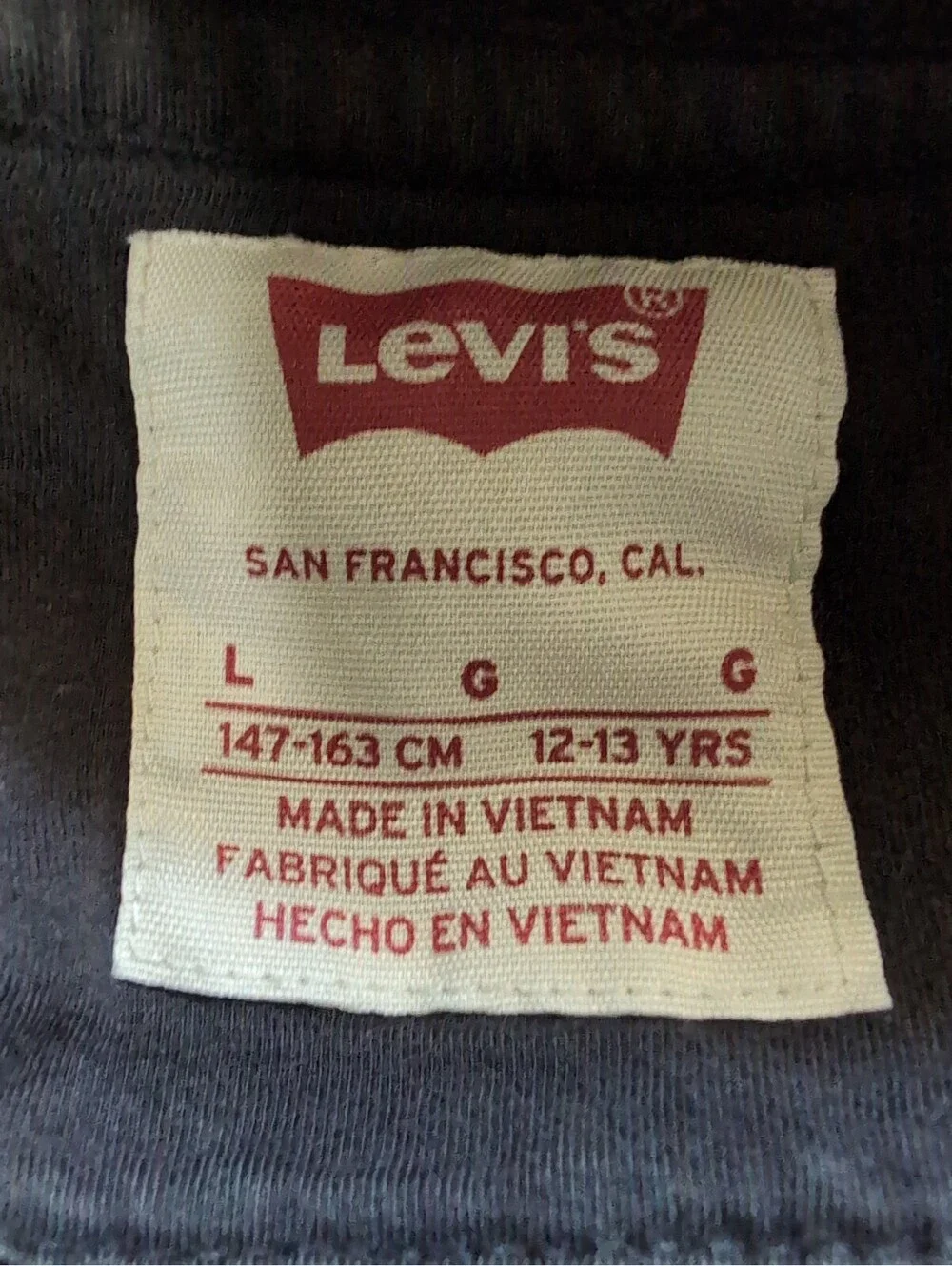 Levi’s Silver Tab Big Logo Black Pullover Hoodie Kids L(12-13) School(1533)B